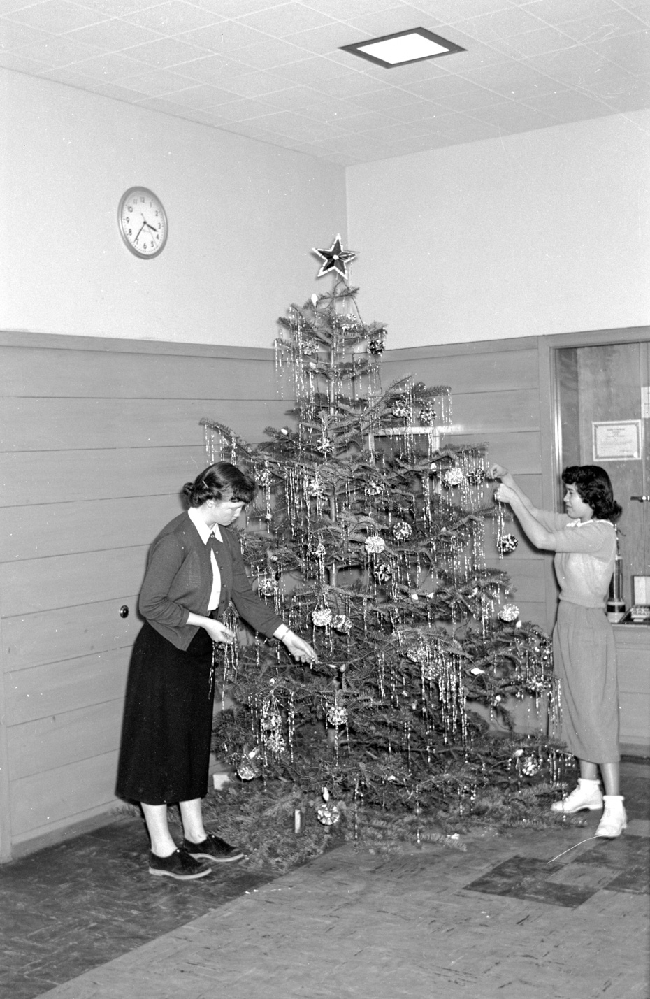 Trimming the Tree