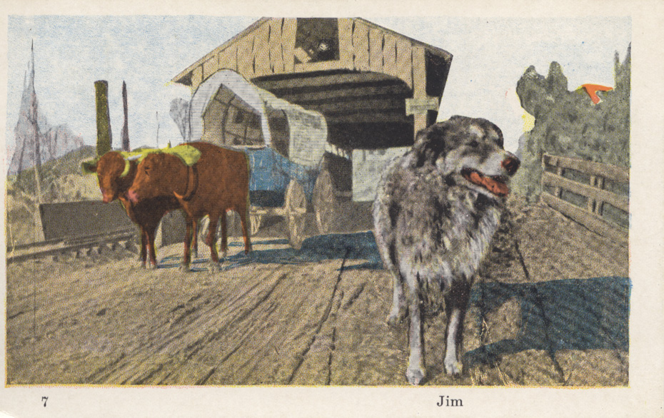 Jim