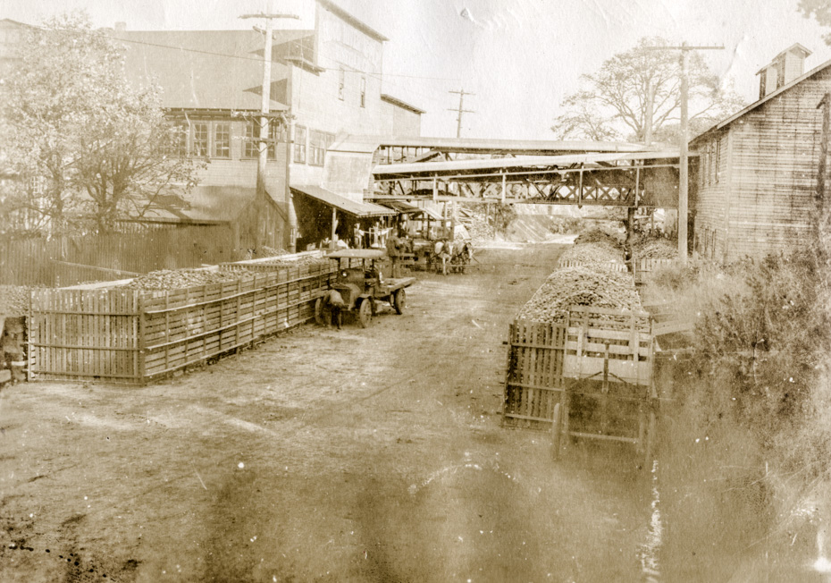 Apple Vinegar Factory