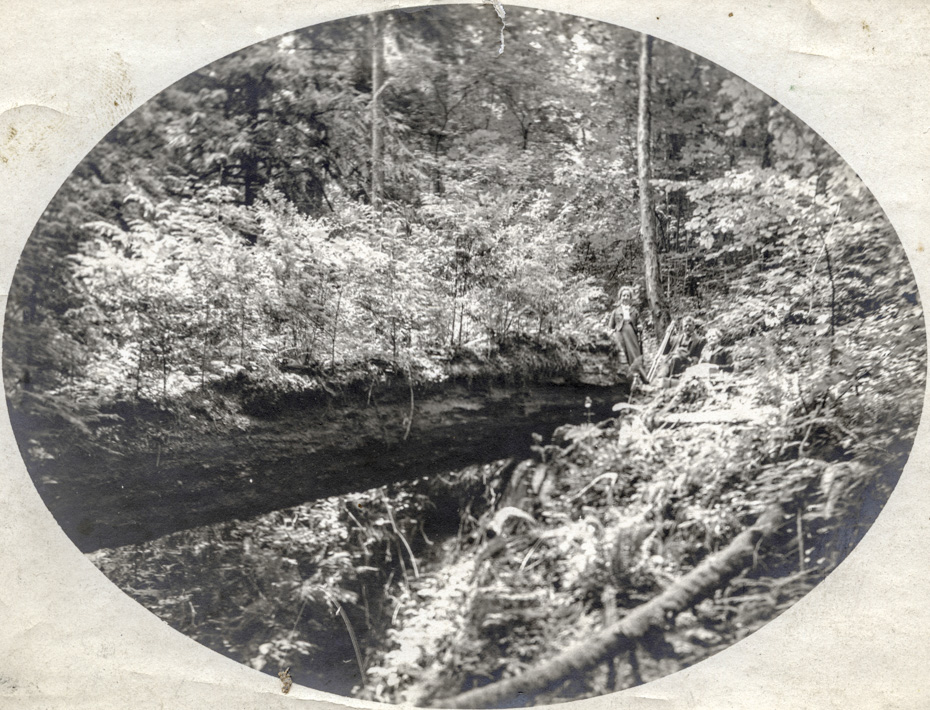 Nurse Log