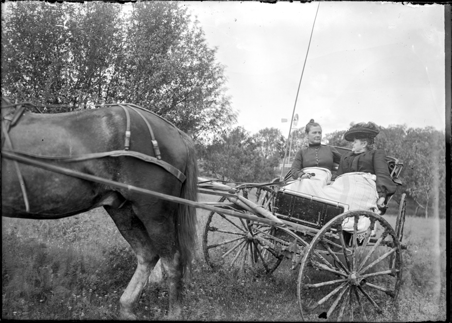 Know Your Horse-Drawn Conveyances