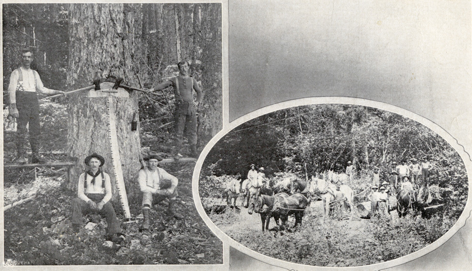 Logging Without Gas