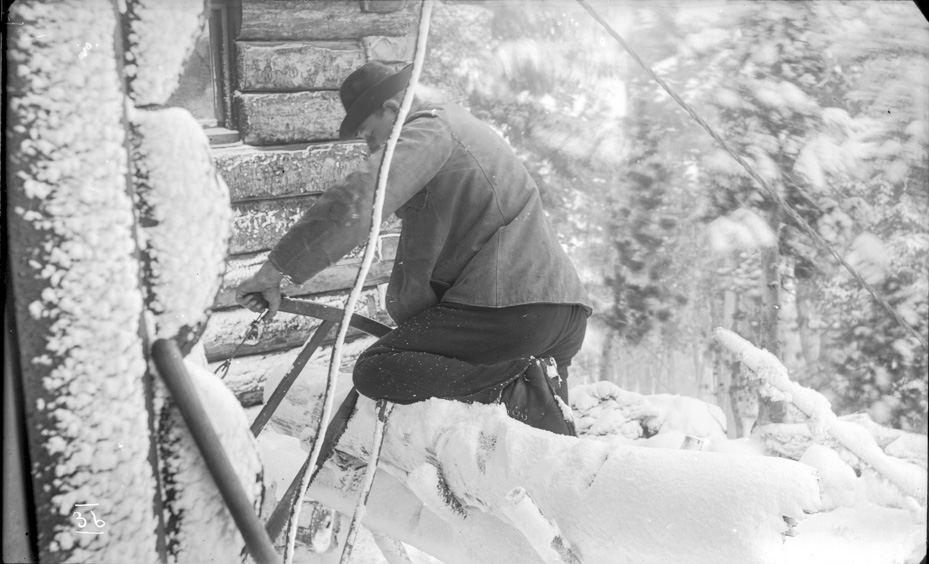 Sawing Firewood