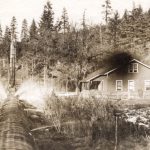 “Old Pipeline above Powerdale”