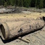 Stinky Old Pipes