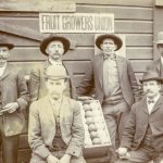 Fruit Growers Union