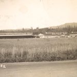 Diamond Fruit Packing House