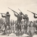 Bird Hunting