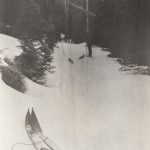 “Looking Up the Road to Mt Hood”