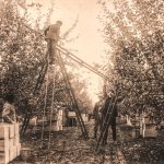 Ladder Gymnastics