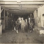 Fashion Livery Stables, circa 1910