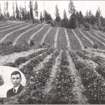 Young Couple, Young Orchard