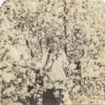 Florence Clark