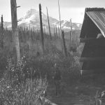 Mt. Hood Shelter