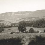 Old Cabin