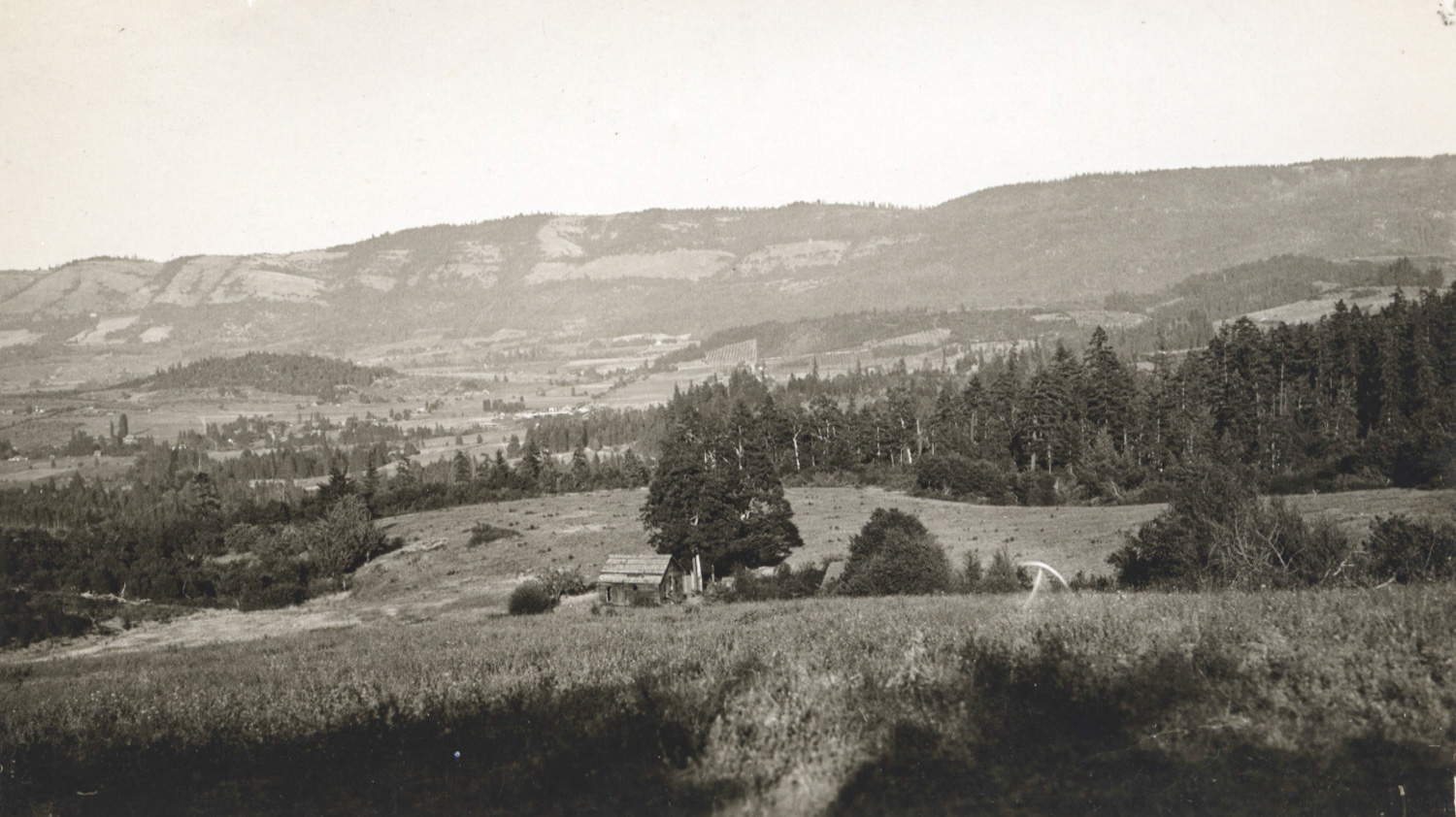 Old Cabin