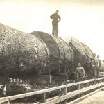 Big Sticks