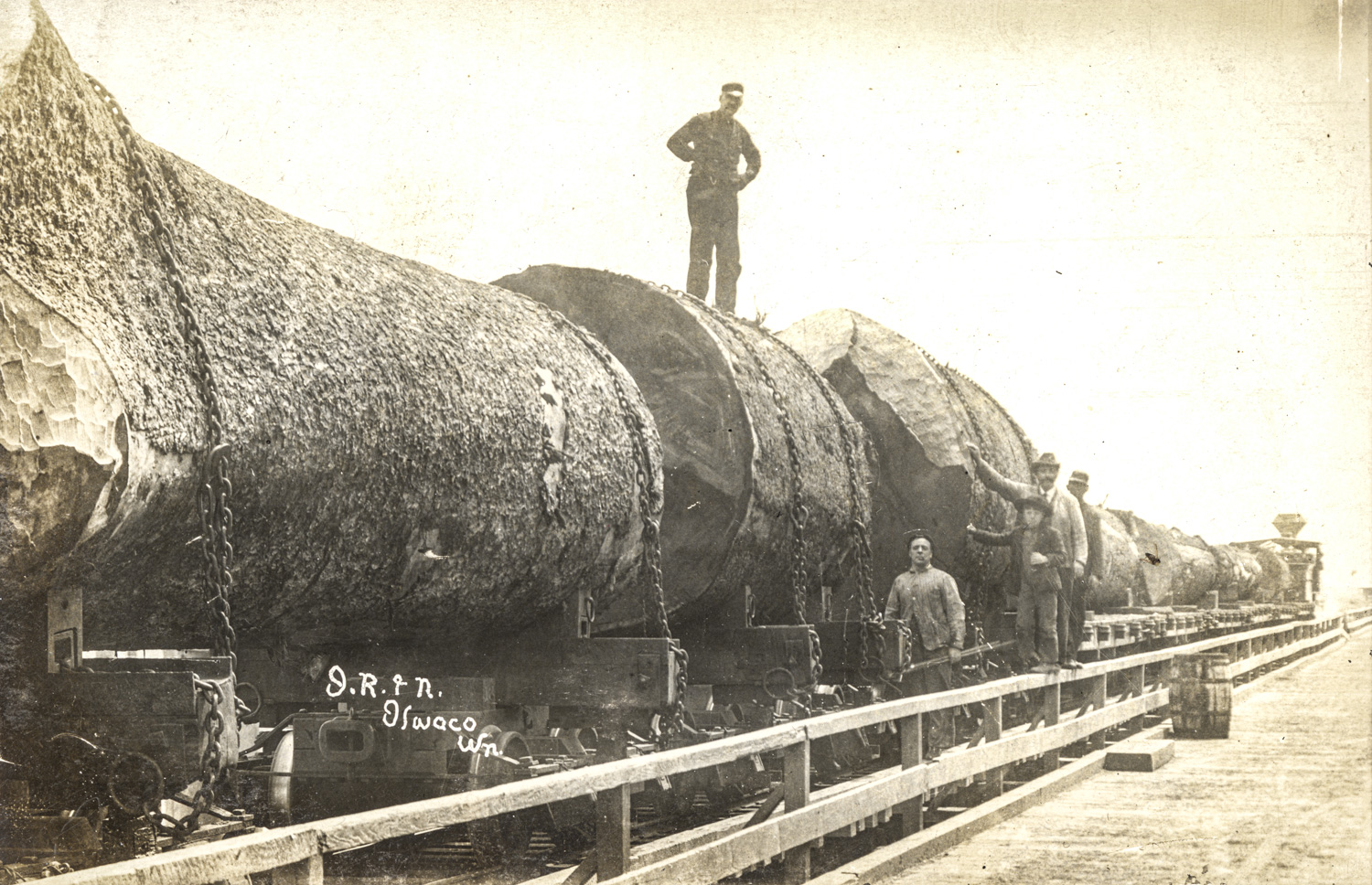 Big Sticks