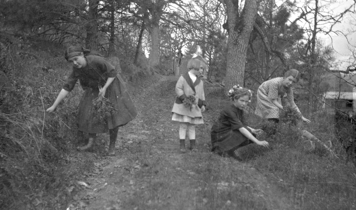 Gathering Flowers
