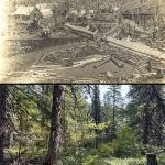 Now and Then