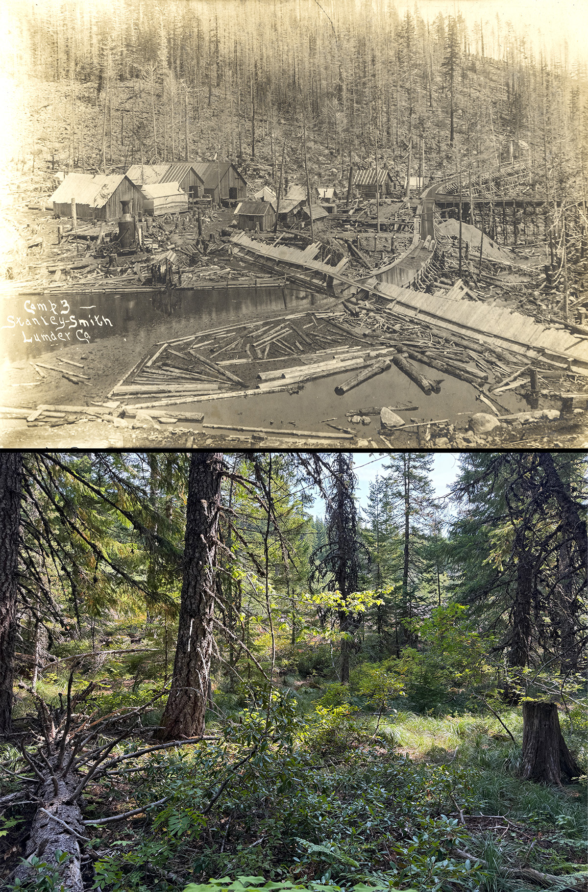 Now and Then