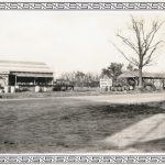 Lewis Orchard Company