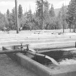 Wizard Falls Hatchery, 1949
