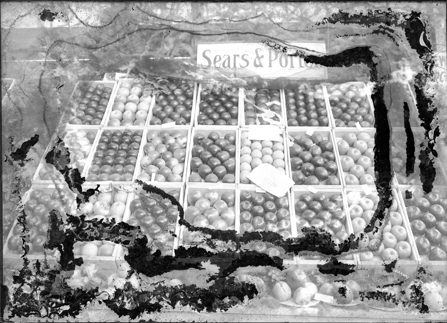 Sears & Porter