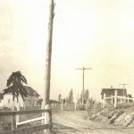 Liberty Home Orchard