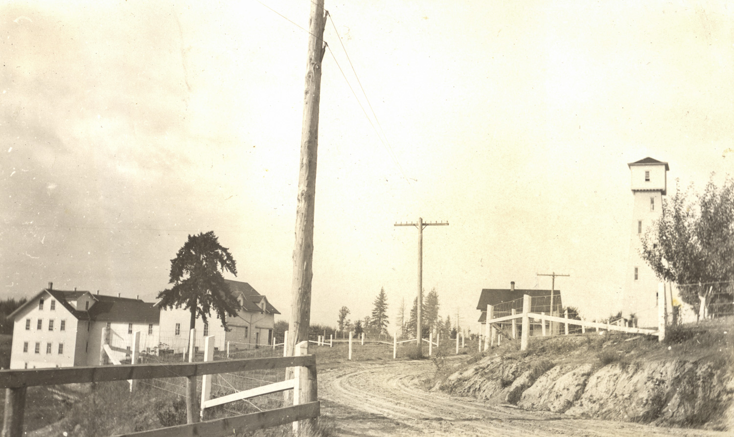 Liberty Home Orchard