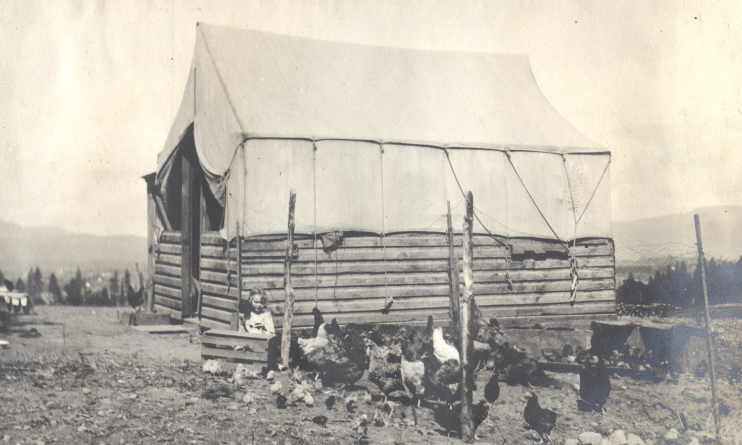 Mason Chicken Coop