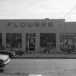 “Flowers”
