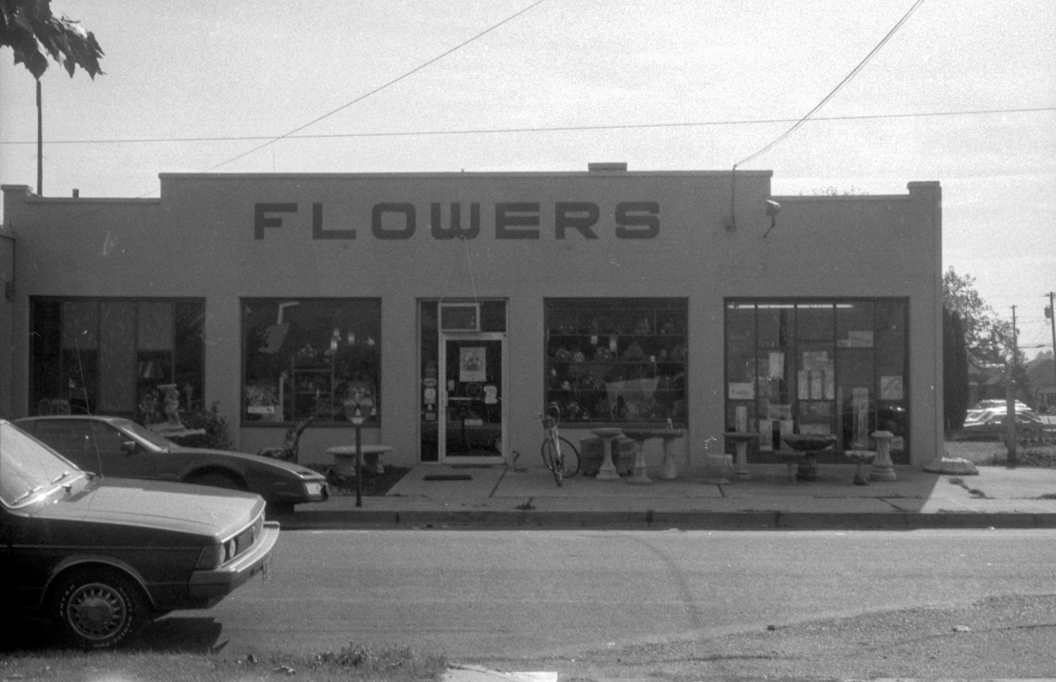 “Flowers”