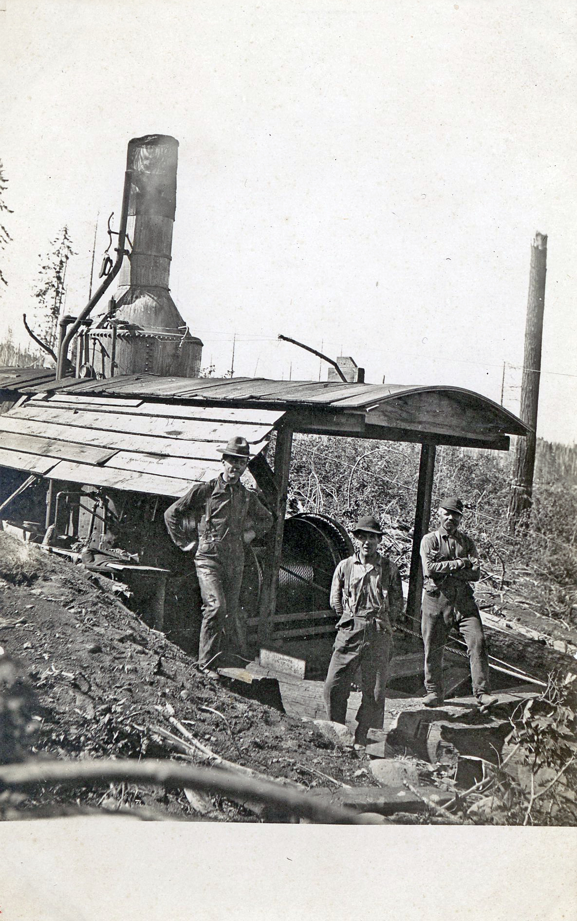 Skidder