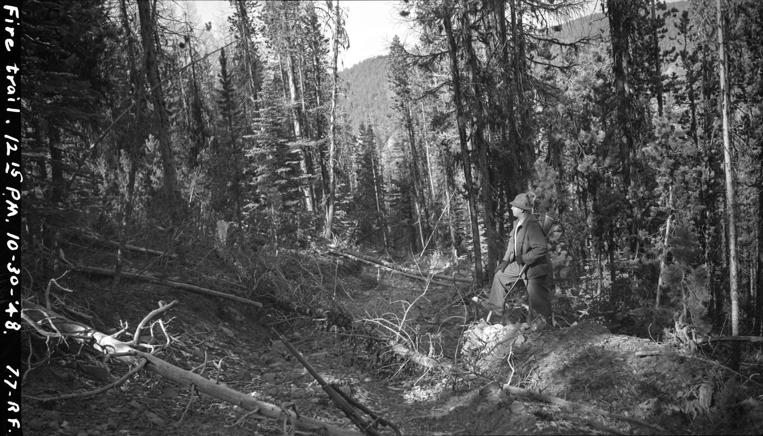 “Fire Trail”